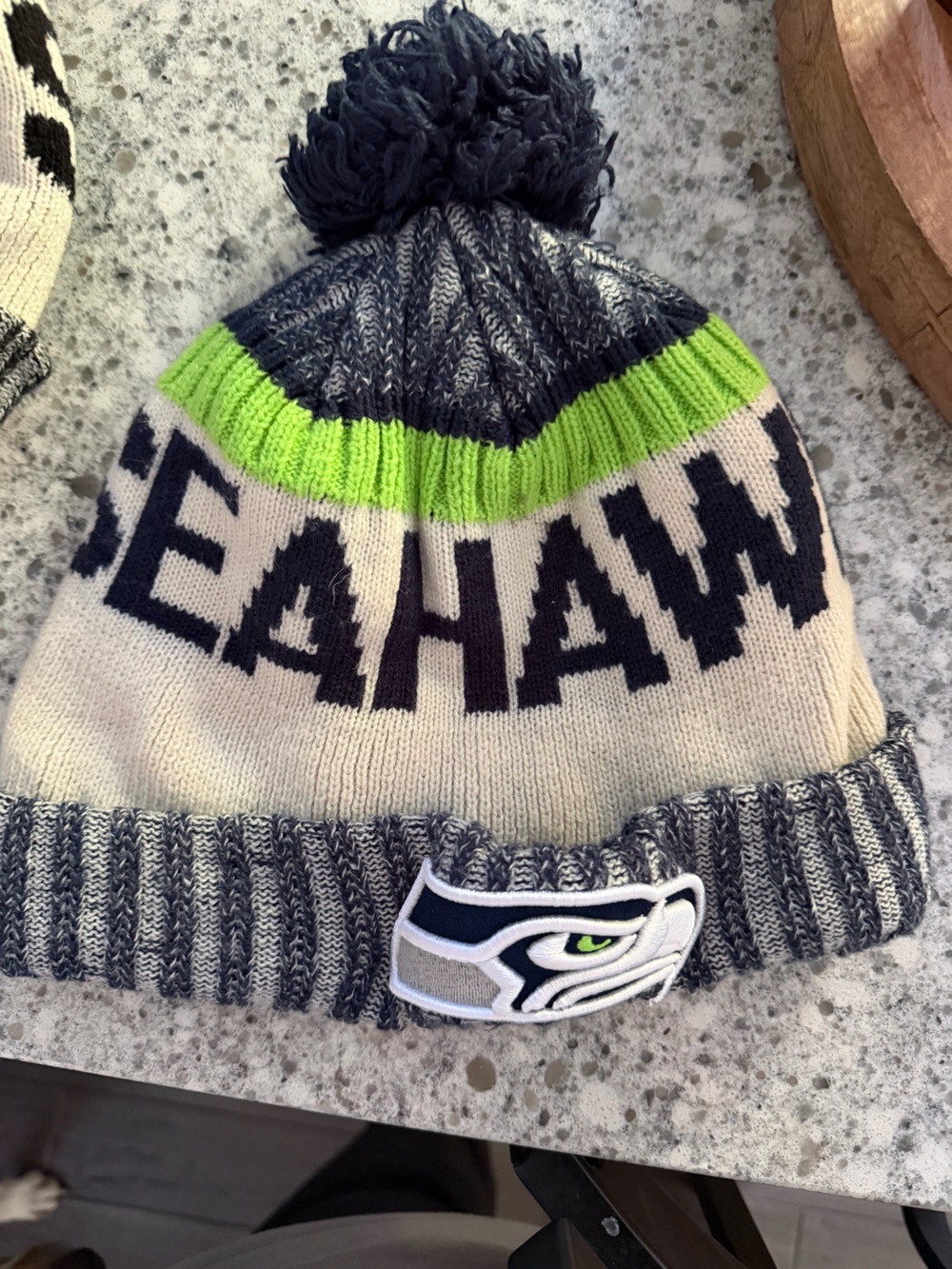 Official Seattle Seahawks knit winter beanie featuring embroidered team logo